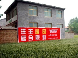 广元如何让墙体广告展现最大化效果