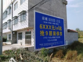 广元墙体广告质量分析
